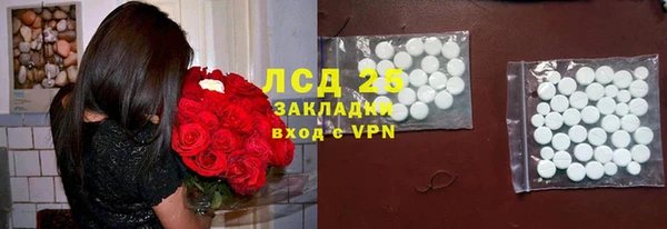 стаф Баксан
