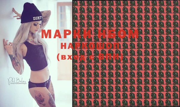 ГАЛЛЮЦИНОГЕННЫЕ ГРИБЫ Аркадак