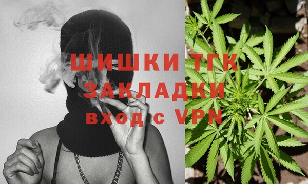 стаф Баксан