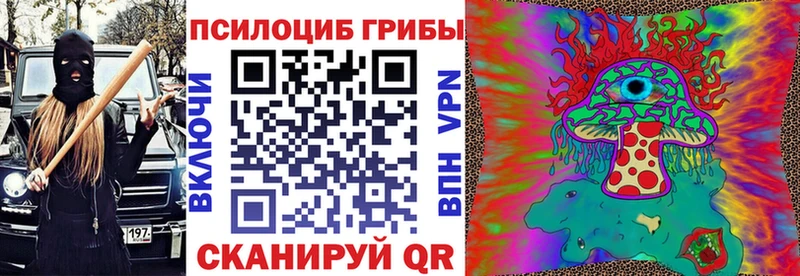 Псилоцибиновые грибы Psilocybine cubensis  Георгиевск 
